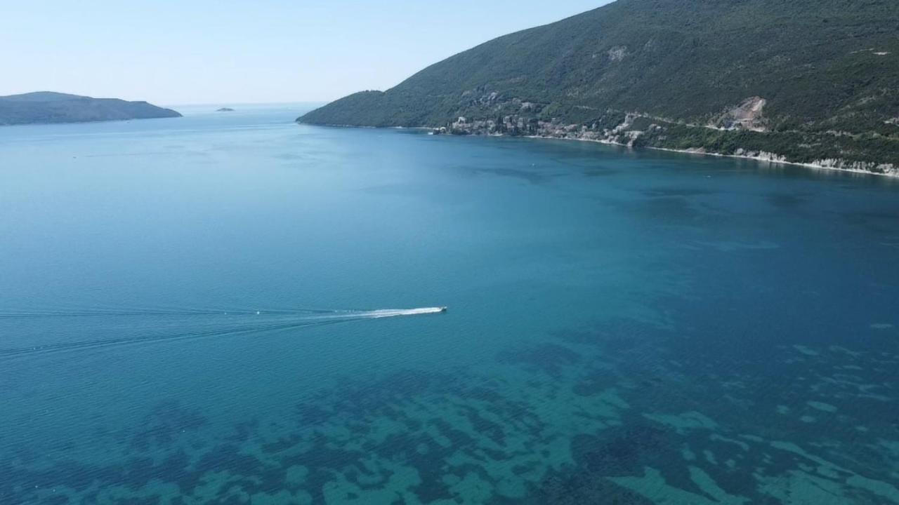 Porat *